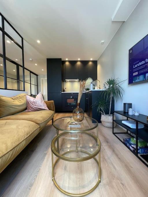 Appartement Scandpoint Exquisite & Homely Flat In Center Oslo With Free Parking Lillestrøm